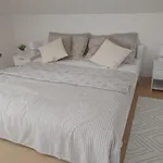 U Koupaliste Ferienhaus Mimon
